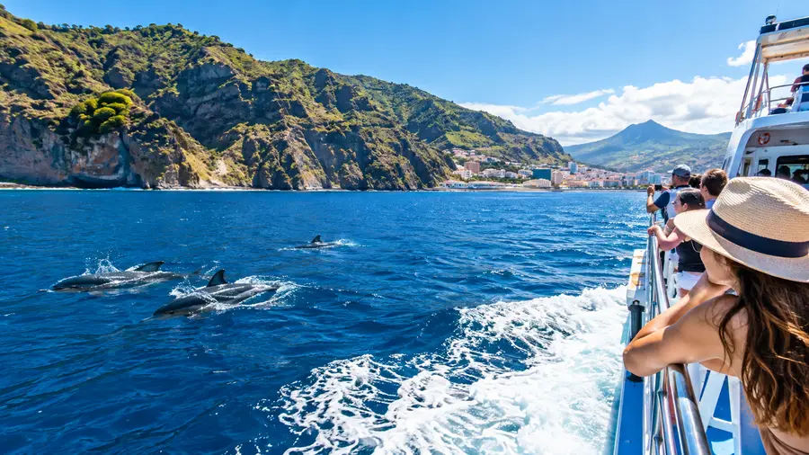 North Tenerife Boat Trips: Puerto de la Cruz & Santa Cruz